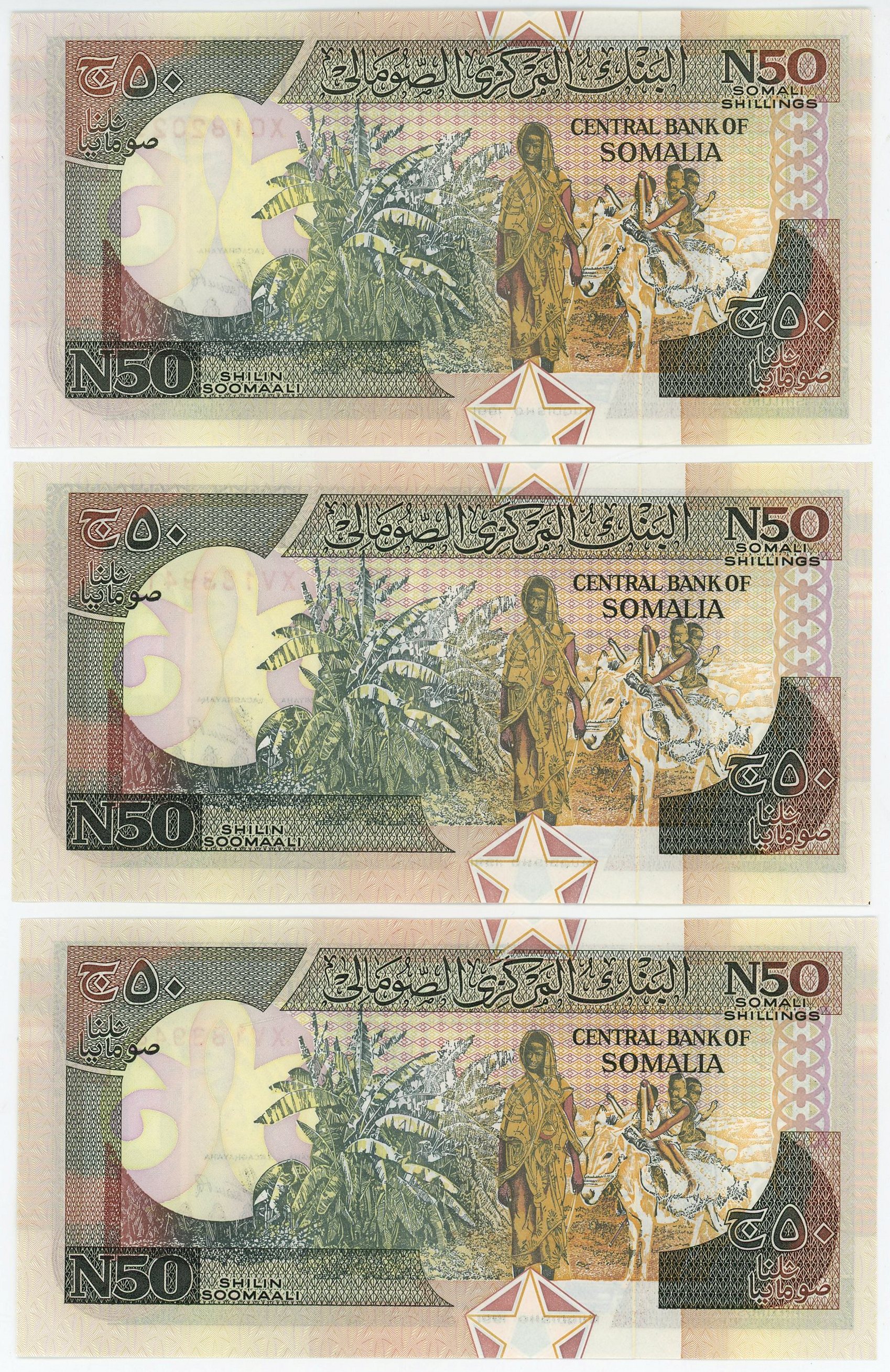 1081 - Somalia 3 x 50 Shilin / 50 Shillings 1991