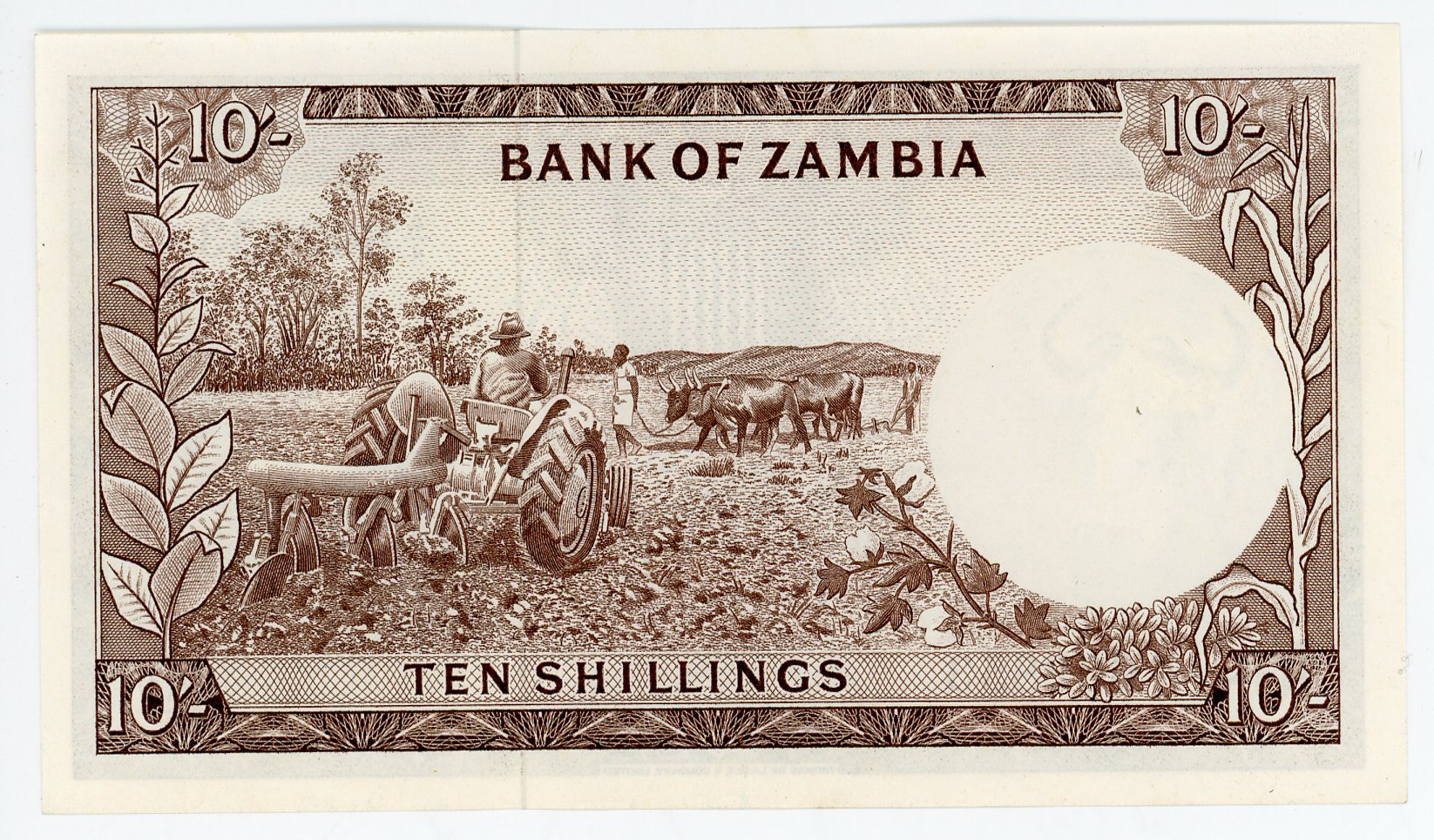 424 - Zambia 10 Shillings 1964 (ND)